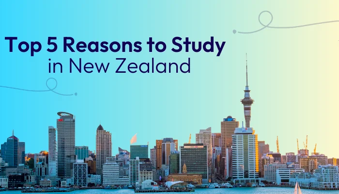 Reason to study in new zealand